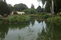 9860 24-7  duck pond