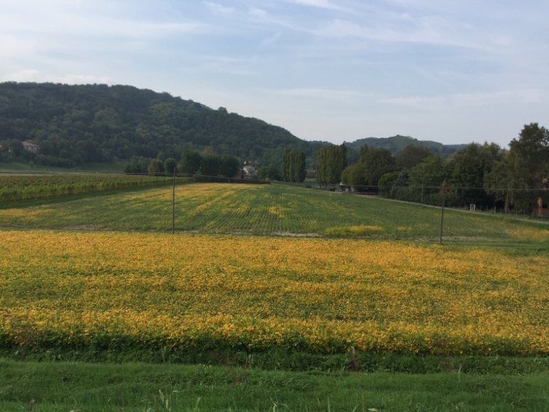 0102 4-10 fields