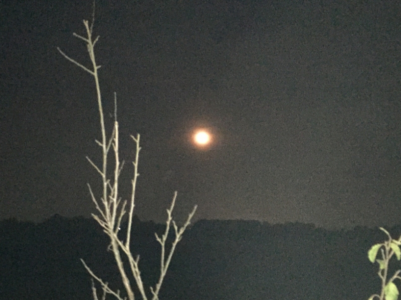 0117 4-10 Moon