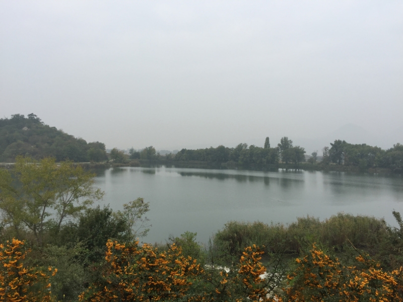 0118 5-10 Misty water