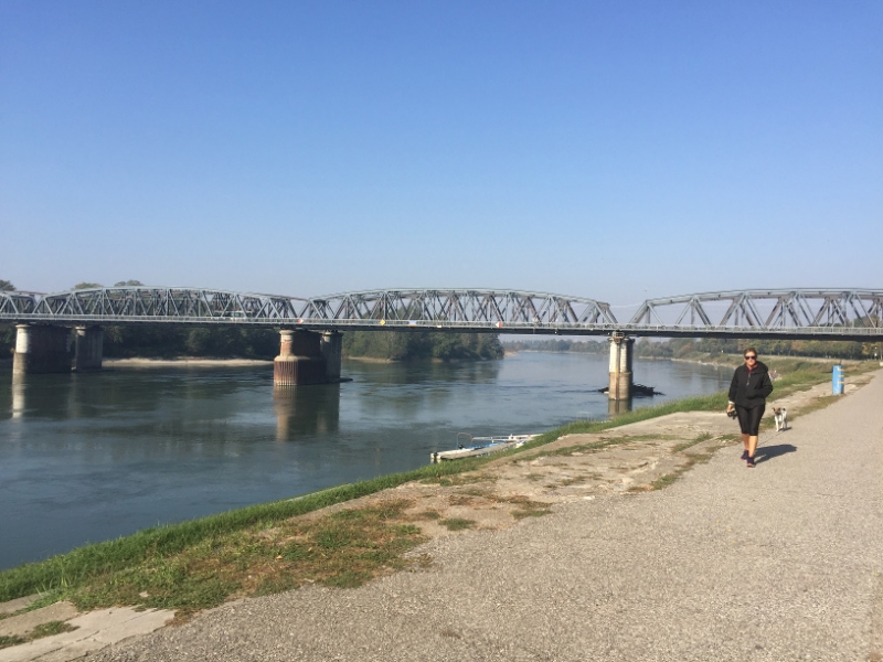 0217 9-10 Bridge