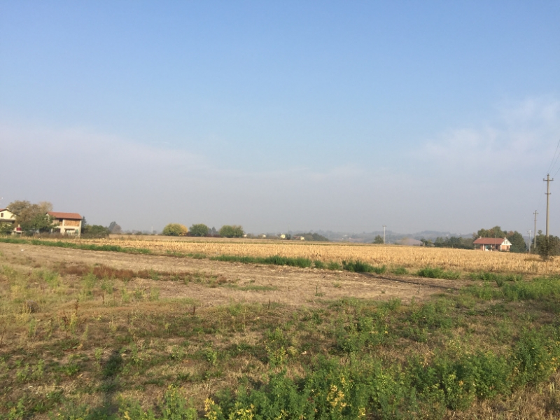 0285 12-10 fields