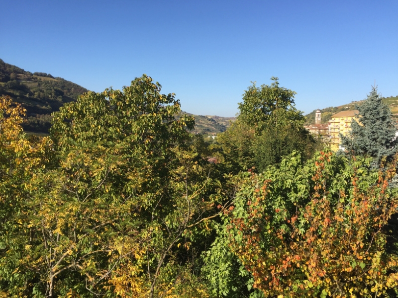 0289 12-10 View