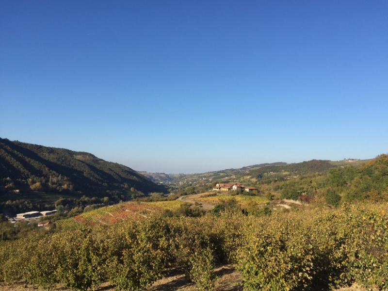 0290 12-10 View