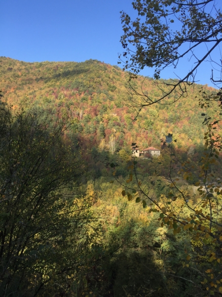 0296 13-10 view