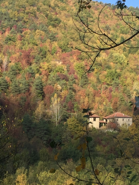 0297 13-10 view