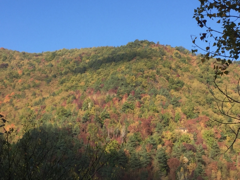 0298 13-10 view
