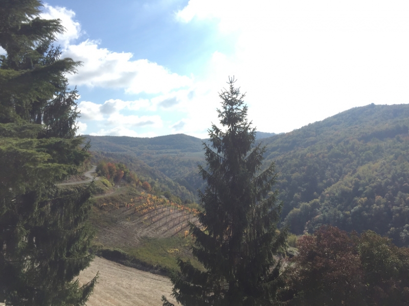 0300 13-10 view