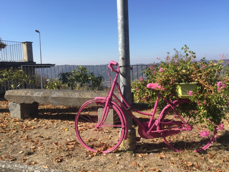 0302 14-10 pink bike
