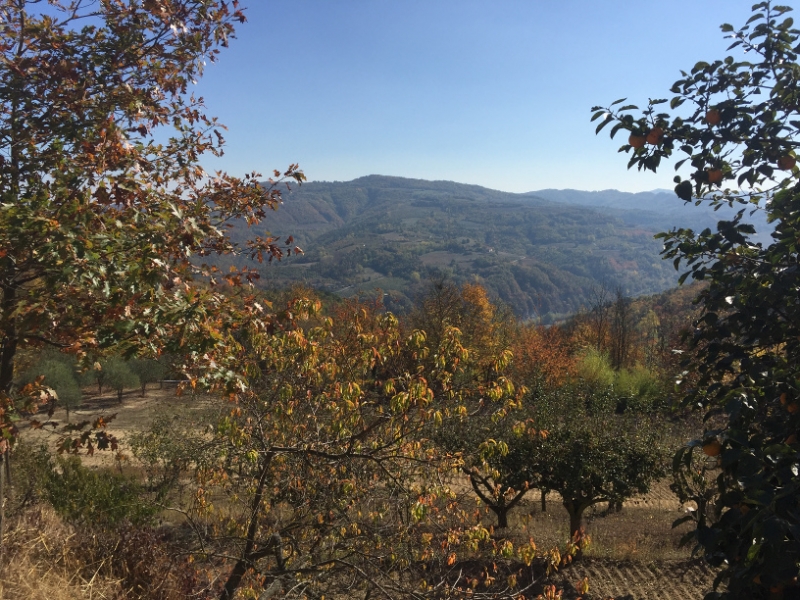 0303 14-10 view