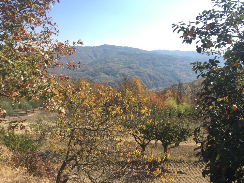 0304 14-10 view
