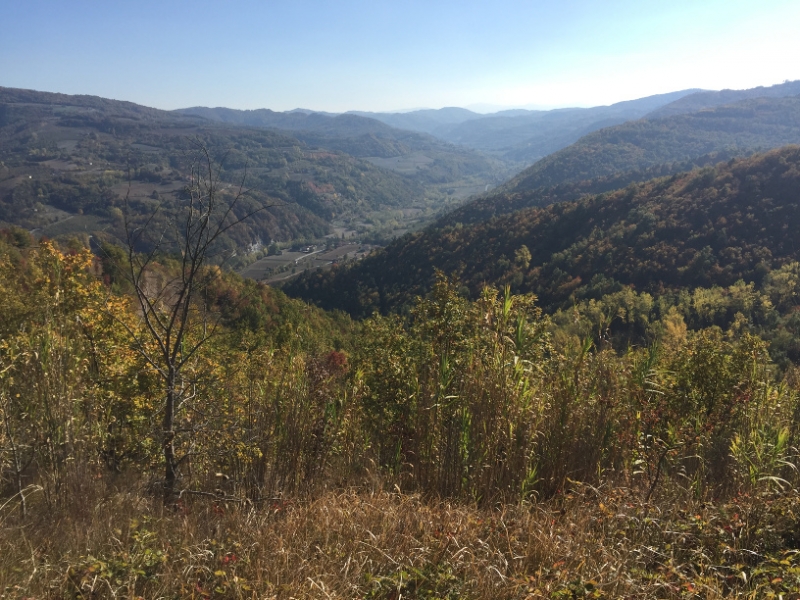0308 14-10 view