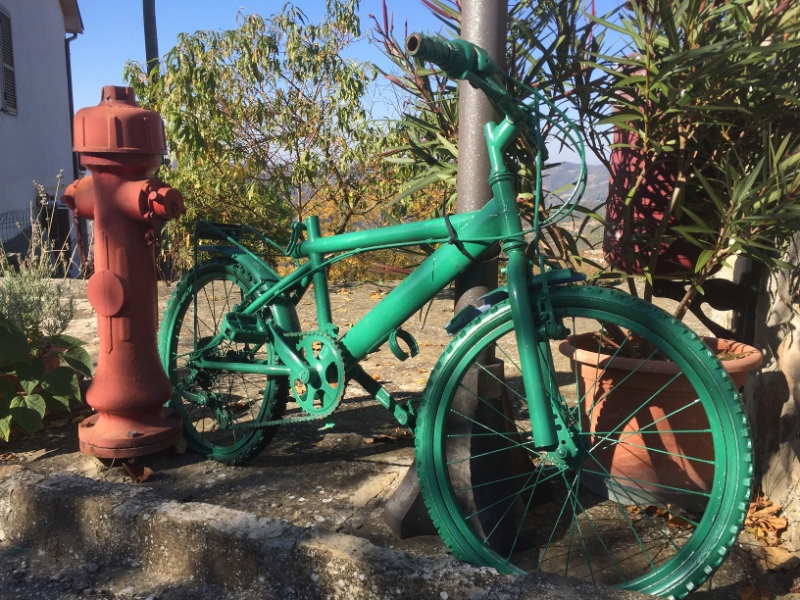 0309 14-10 green bike