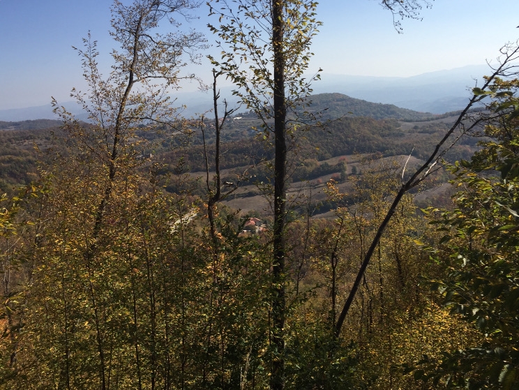 0321 16-10 view