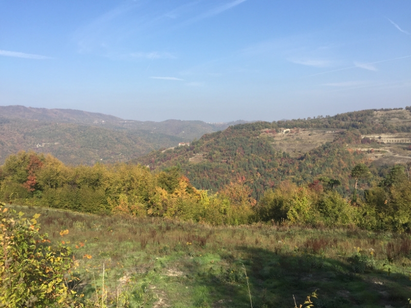 0326 17-10 view