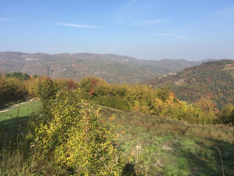 0327 17-10 view