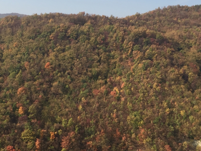 0335 17-10 view