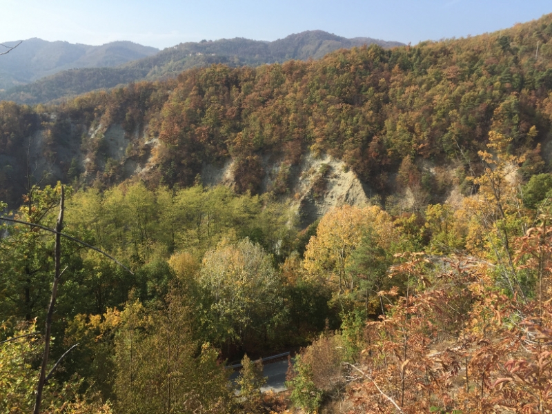 0336 17-10 view