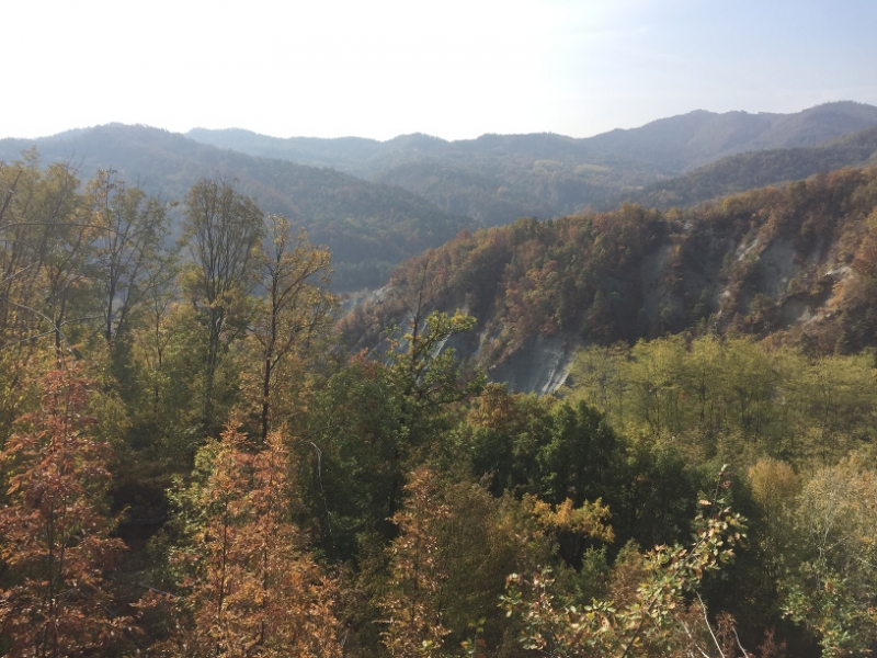 0339 17-10 view