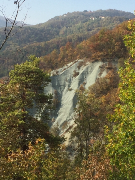 0341 17-10 view