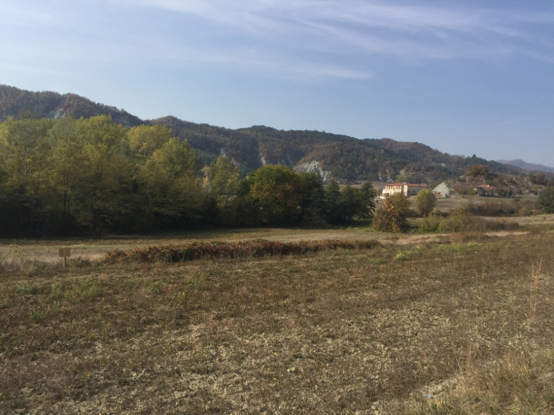 0346 17-10 view