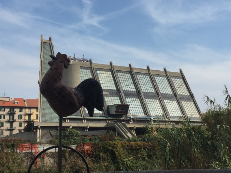 0352 17-10 Cockerel
