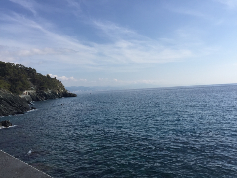 0393 19-10 Headland
