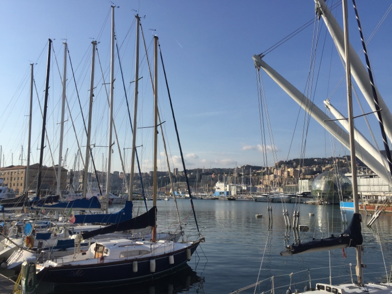 0408 19-10 Yachts