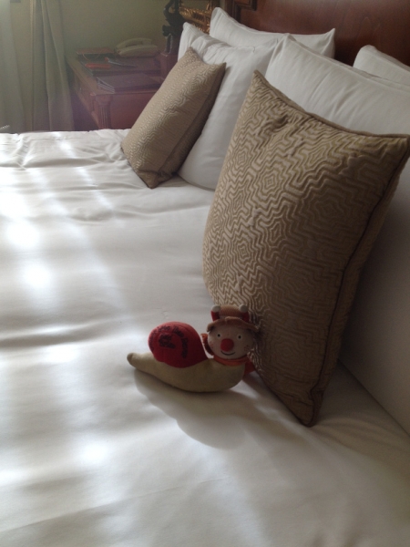 1084  20-9 room