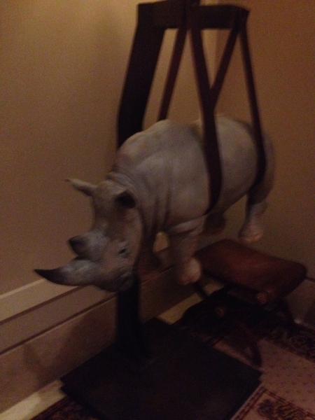 1105 21-9 rhino