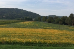 0102 4-10 fields