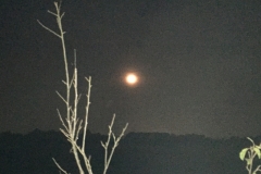 0117 4-10 Moon