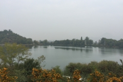 0118 5-10 Misty water