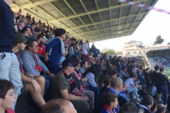 0195 8-10 crowd