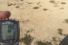 0213 9-10 12000 miles