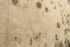 0216 9-10 12000 miles