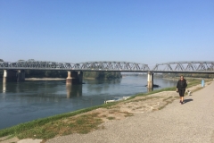 0217 9-10 Bridge