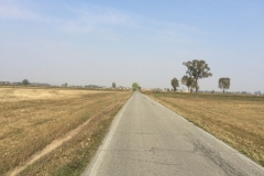 0269 11-10 Road