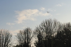 0280 11-10 Microlite