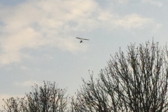 0281 11-10 Microlite