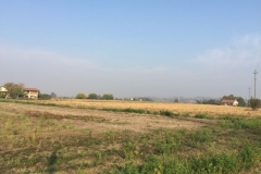 0285 12-10 fields