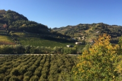 0288 12-10 View
