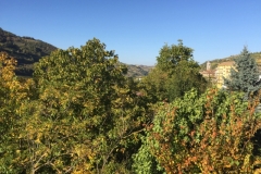 0289 12-10 View