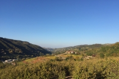 0290 12-10 View