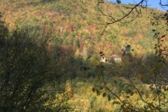 0296 13-10 view