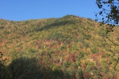 0298 13-10 view