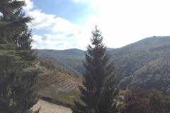 0300 13-10 view