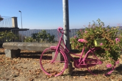 0302 14-10 pink bike