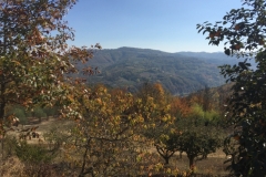 0303 14-10 view
