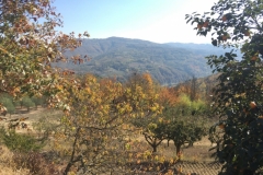 0304 14-10 view